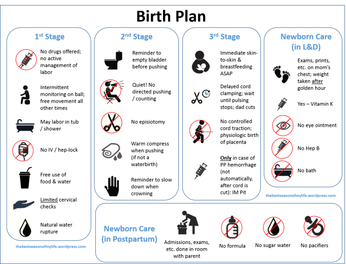 Birth Plan from thebestseasonofmylife.wordpress.com
